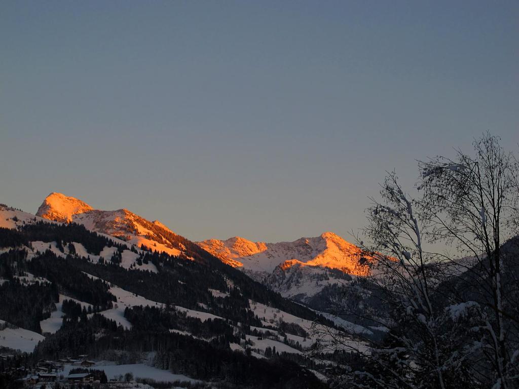 Apartment Haus Schatz Kitzbühel Pokój zdjęcie