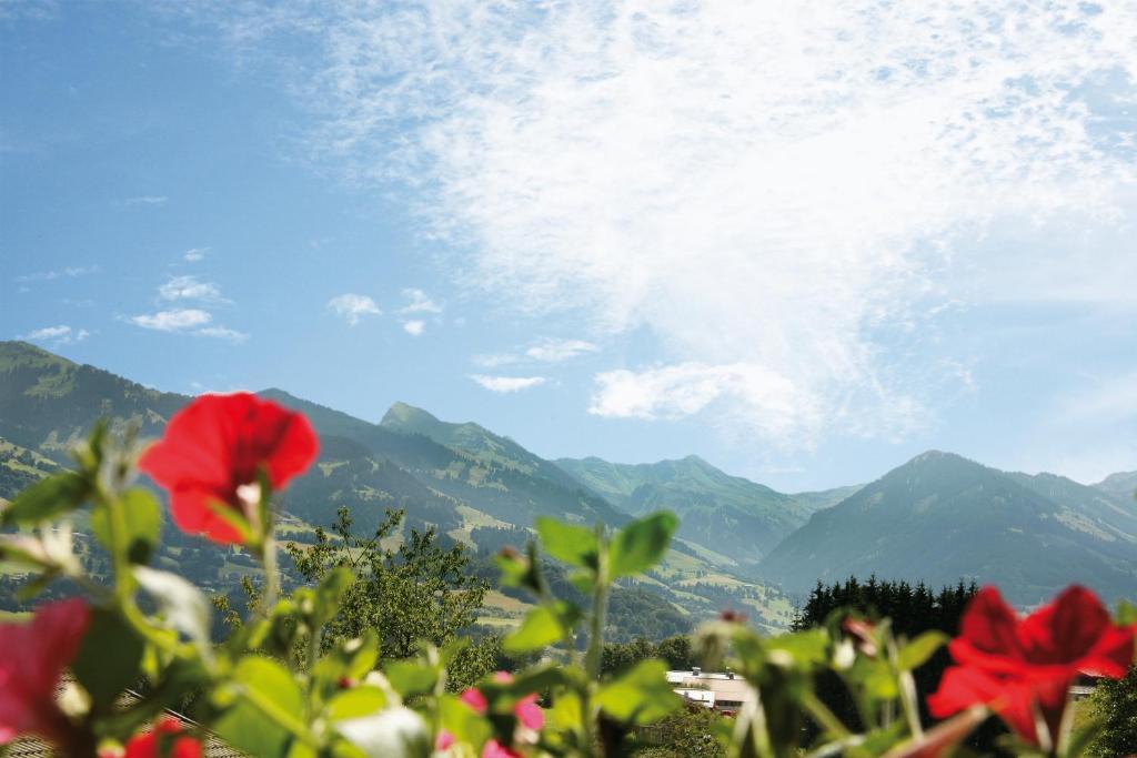 Apartment Haus Schatz Kitzbühel Zewnętrze zdjęcie